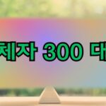 연체자 300 대출