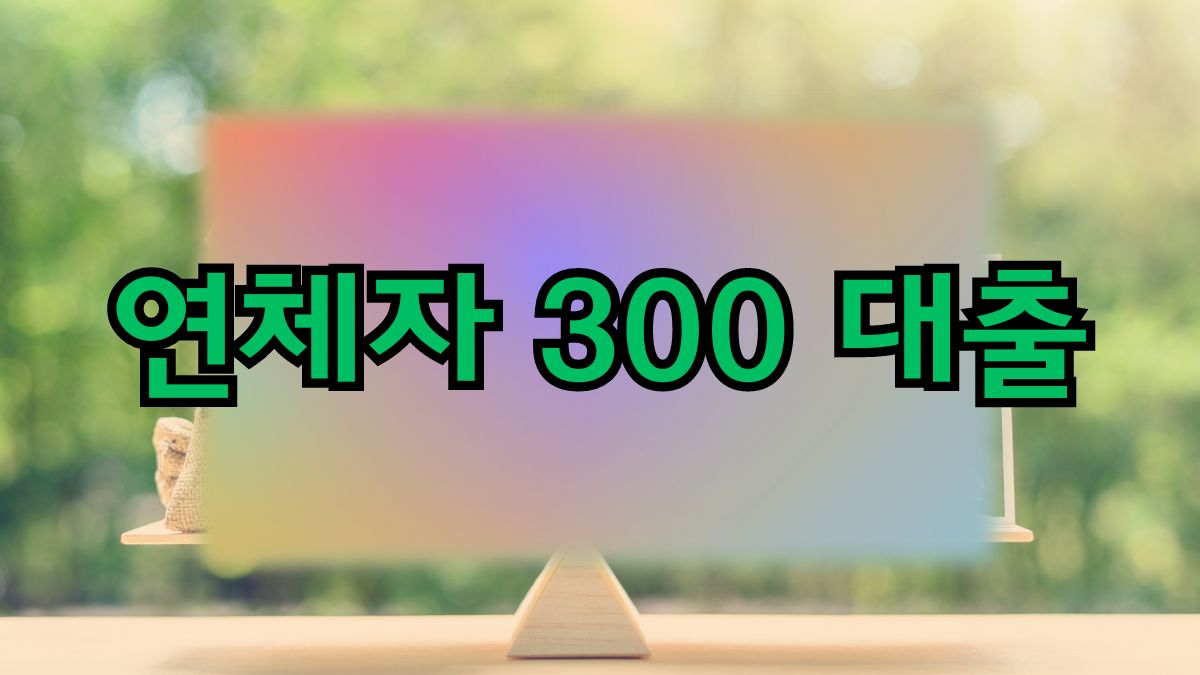 연체자 300 대출