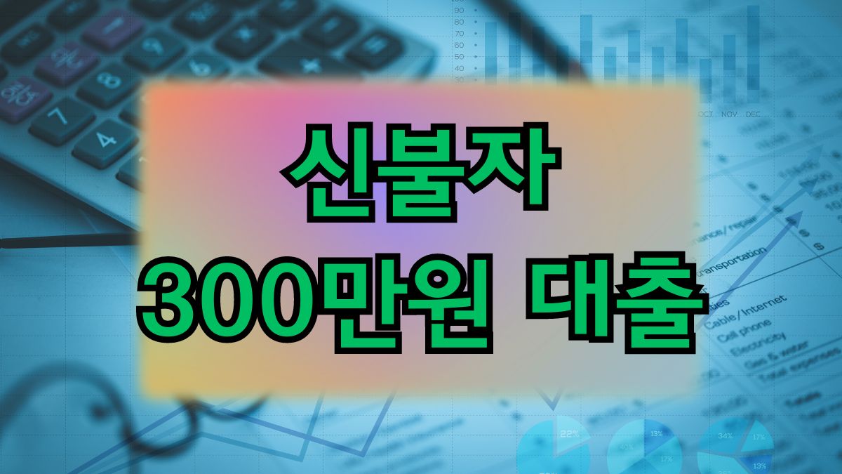 신불자 300만원 대출