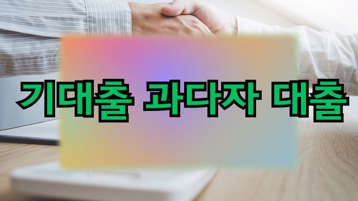 기대출 과다자 대출