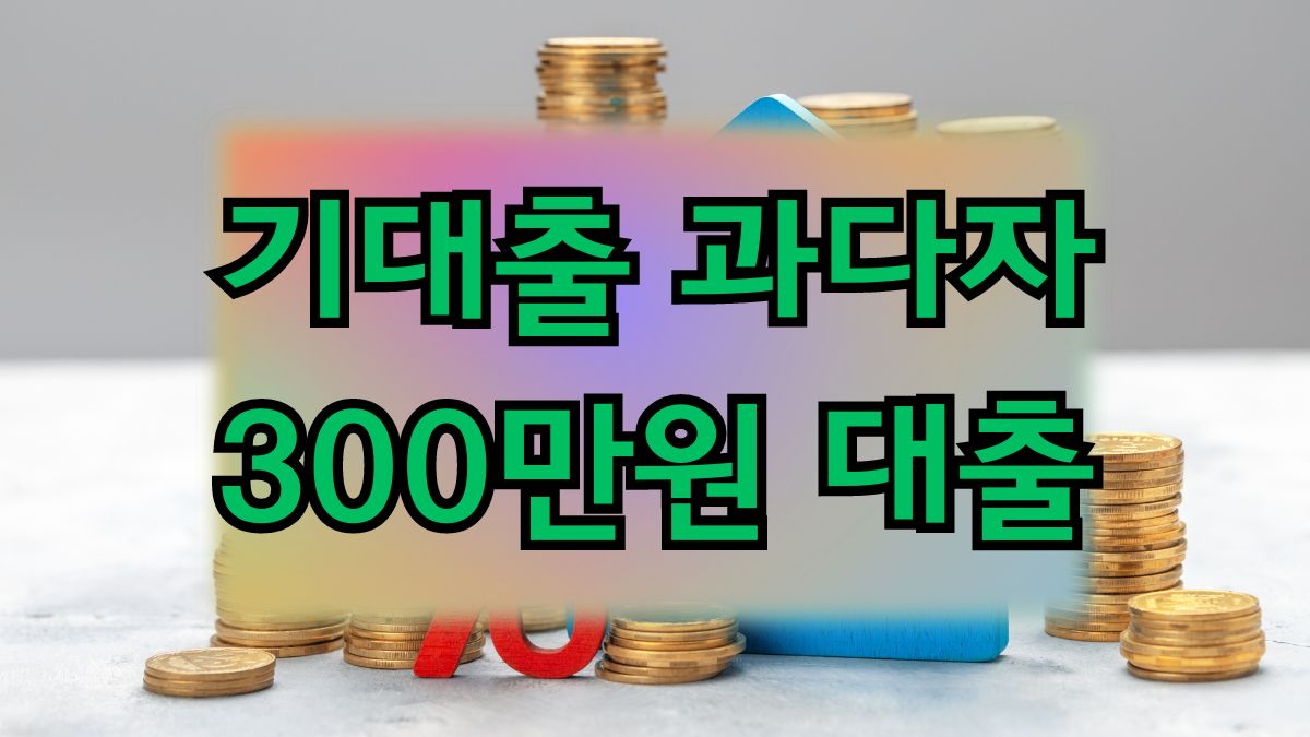 기대출 과다자 300만원 대출