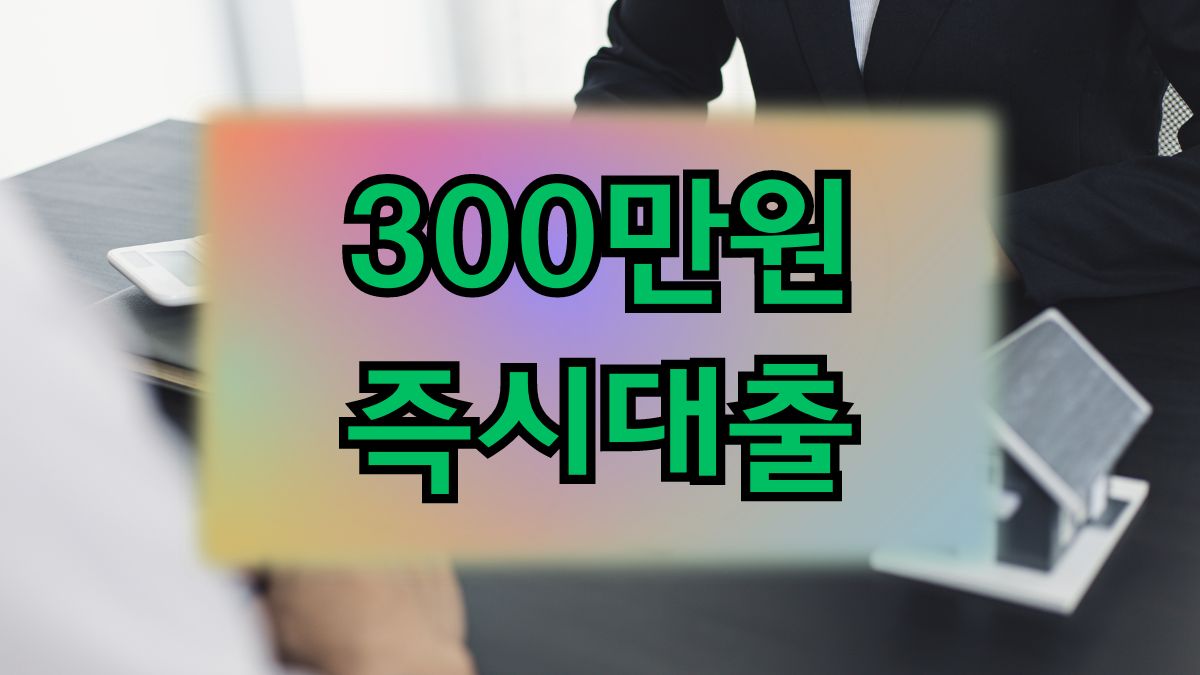 300만원 즉시대출