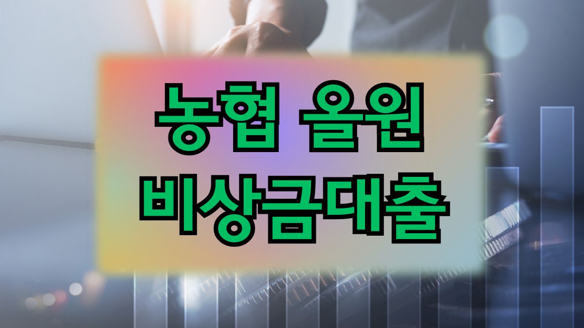 농협 올원 비상금대출