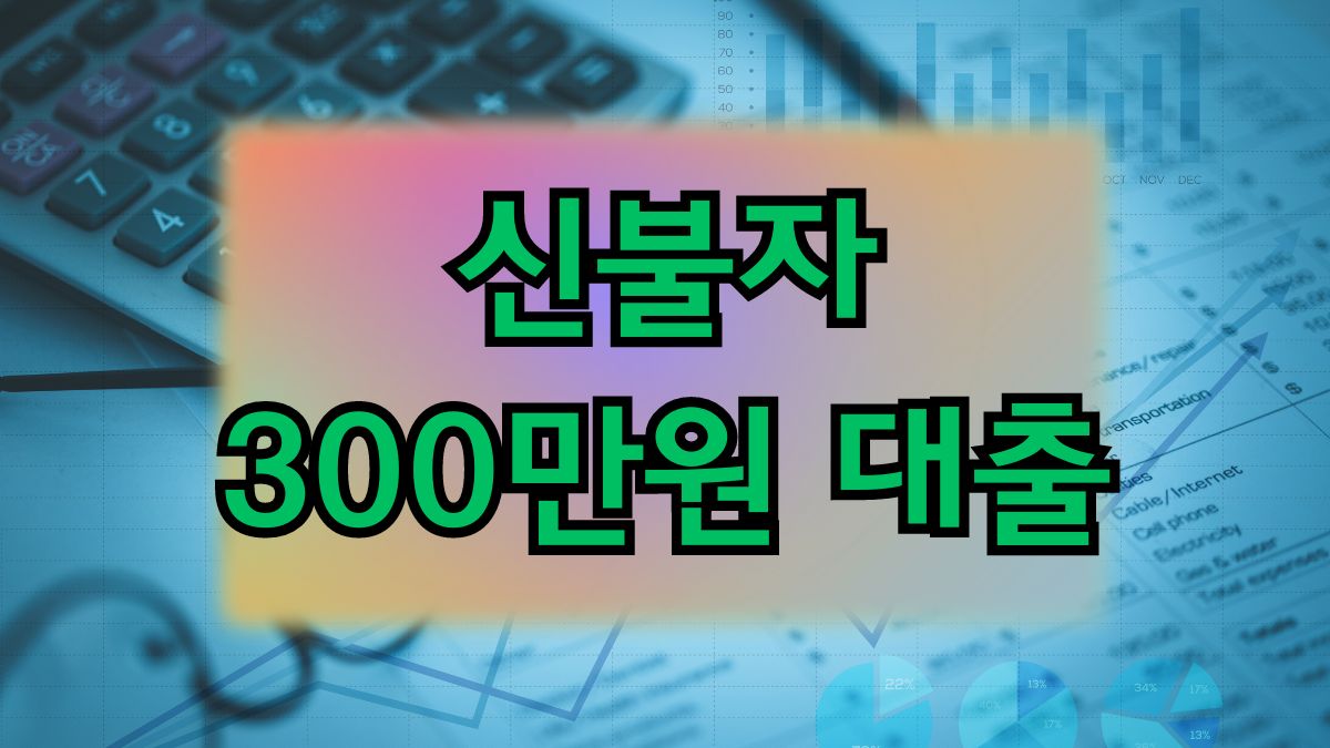 신불자 300만원 대출