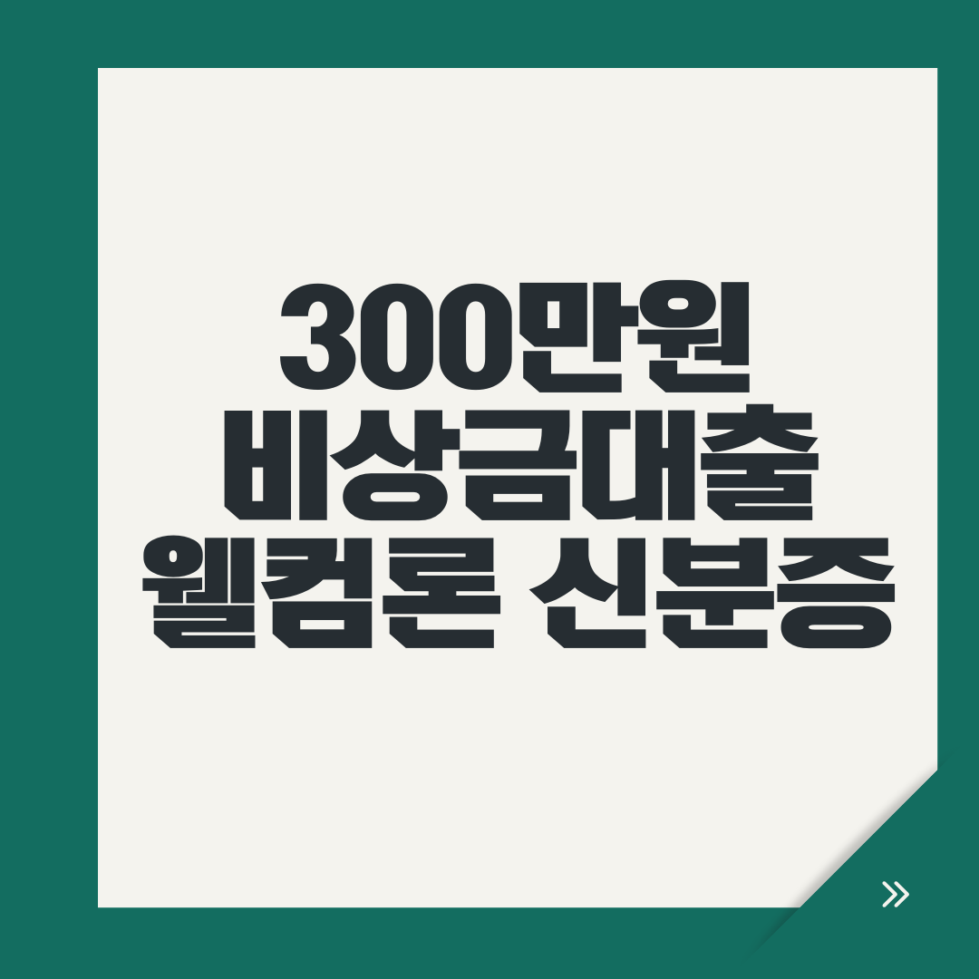 300만원 비상금대출