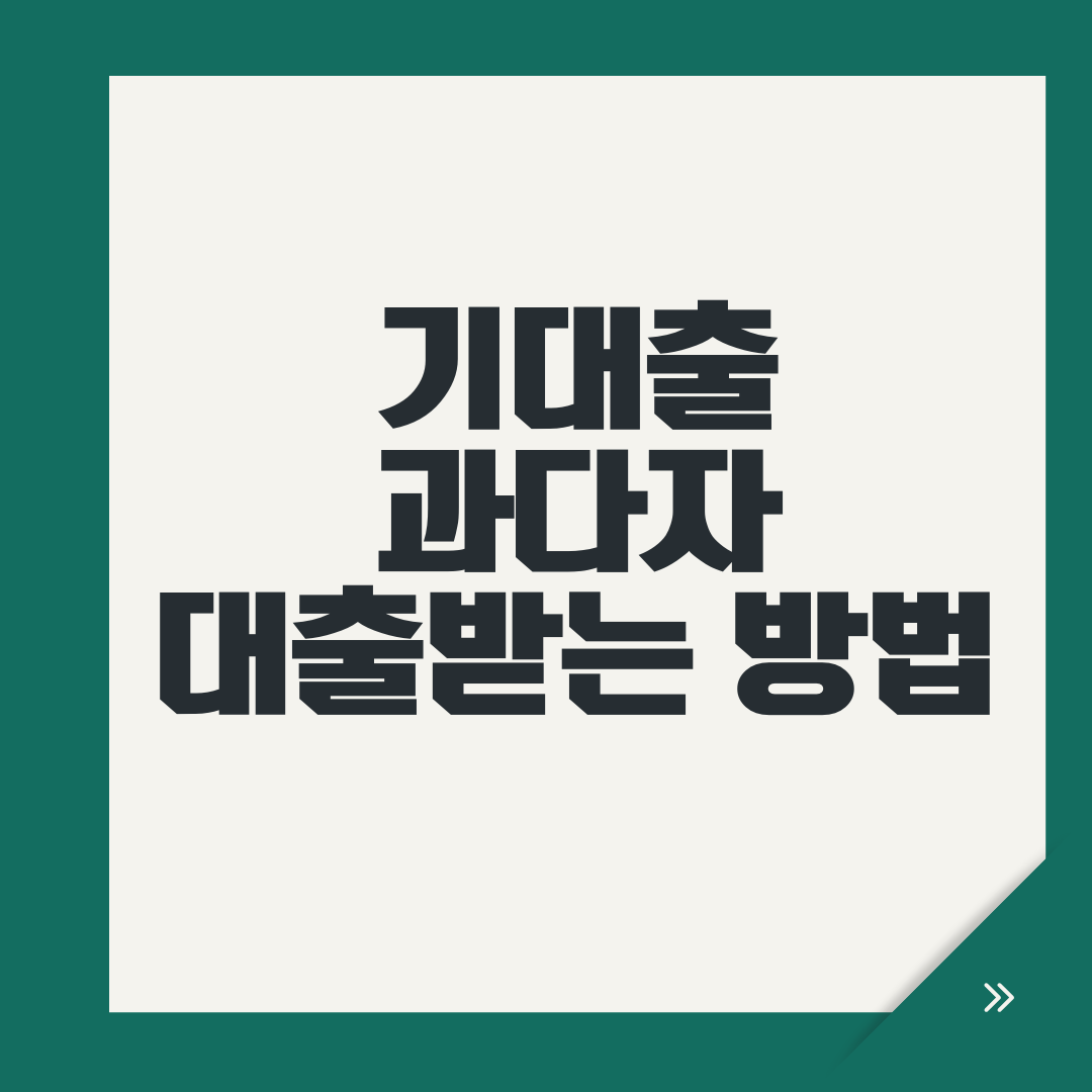 기대출과다자