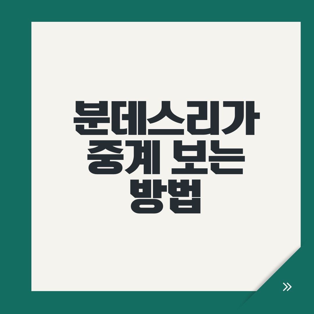 분데스리가 중계 보는 방법