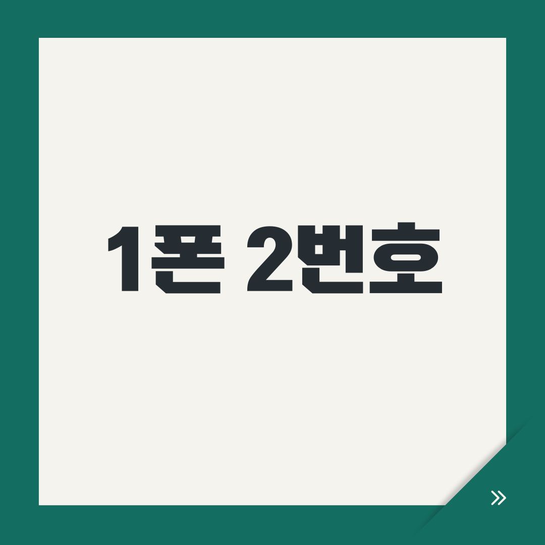 1폰 2번호