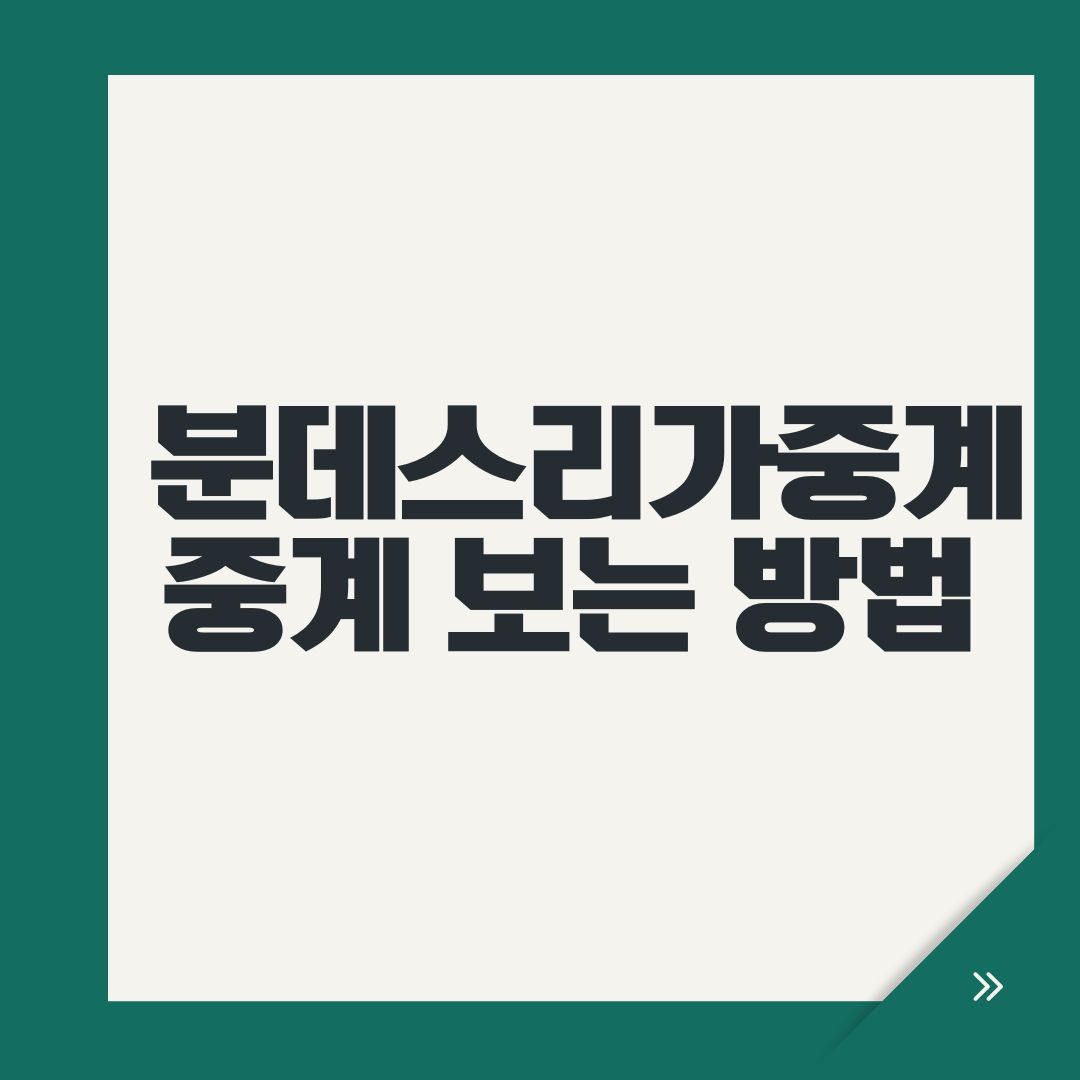 분데스리가중계 중계 보는 방법