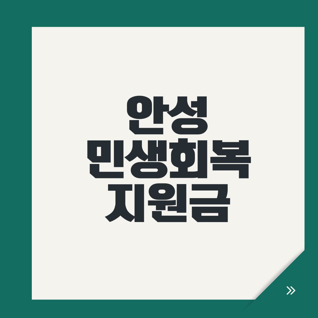 안성 민생회복지원금