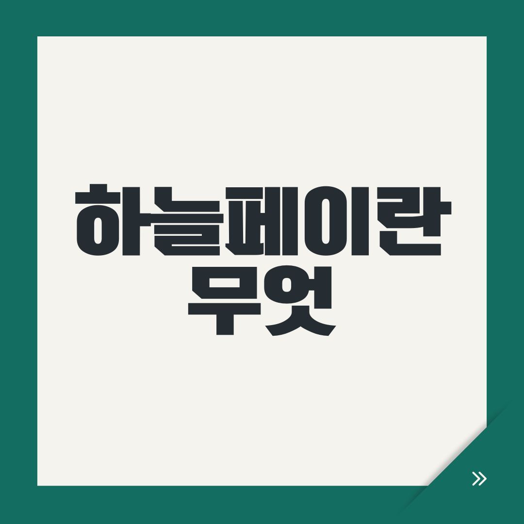 하늘페이란 무엇
