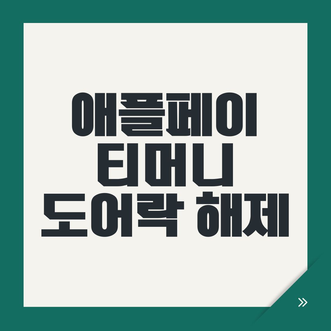 애플페이 티머니 도어락 해제