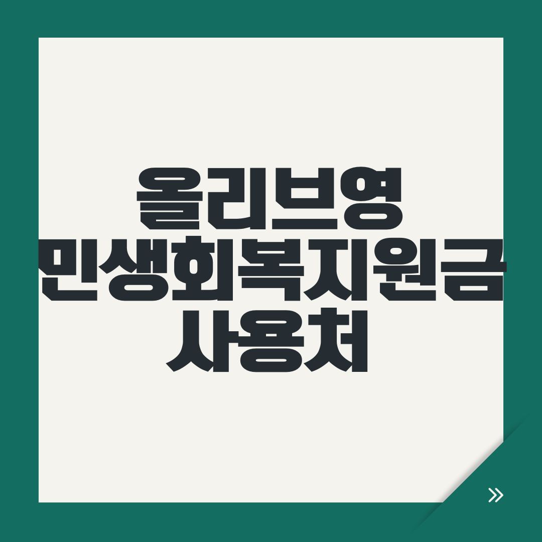 올리브영 민생회복지원금 사용처